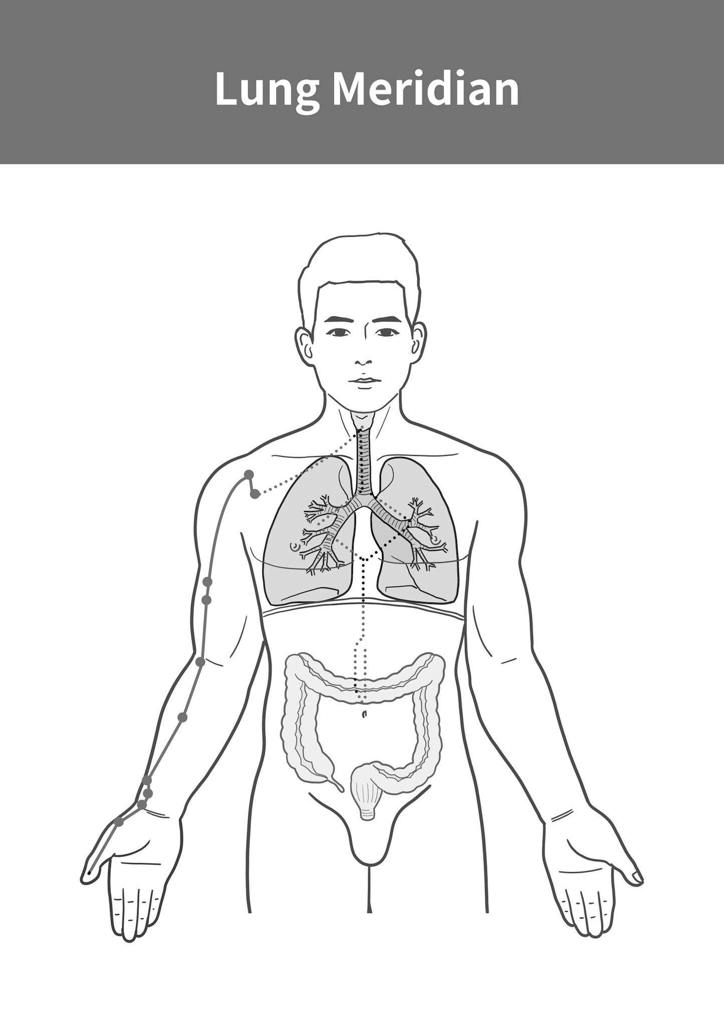 Metal Lung Excess
