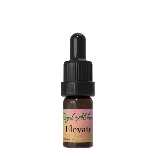 Elevate