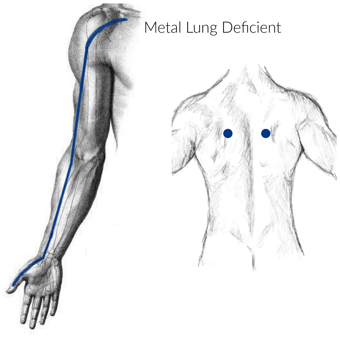 Metal Lung Deficient Acupressure Points