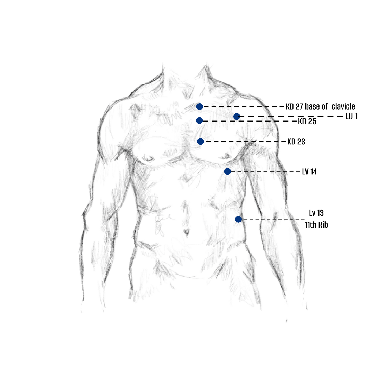 Qi Gong Acupressure Points