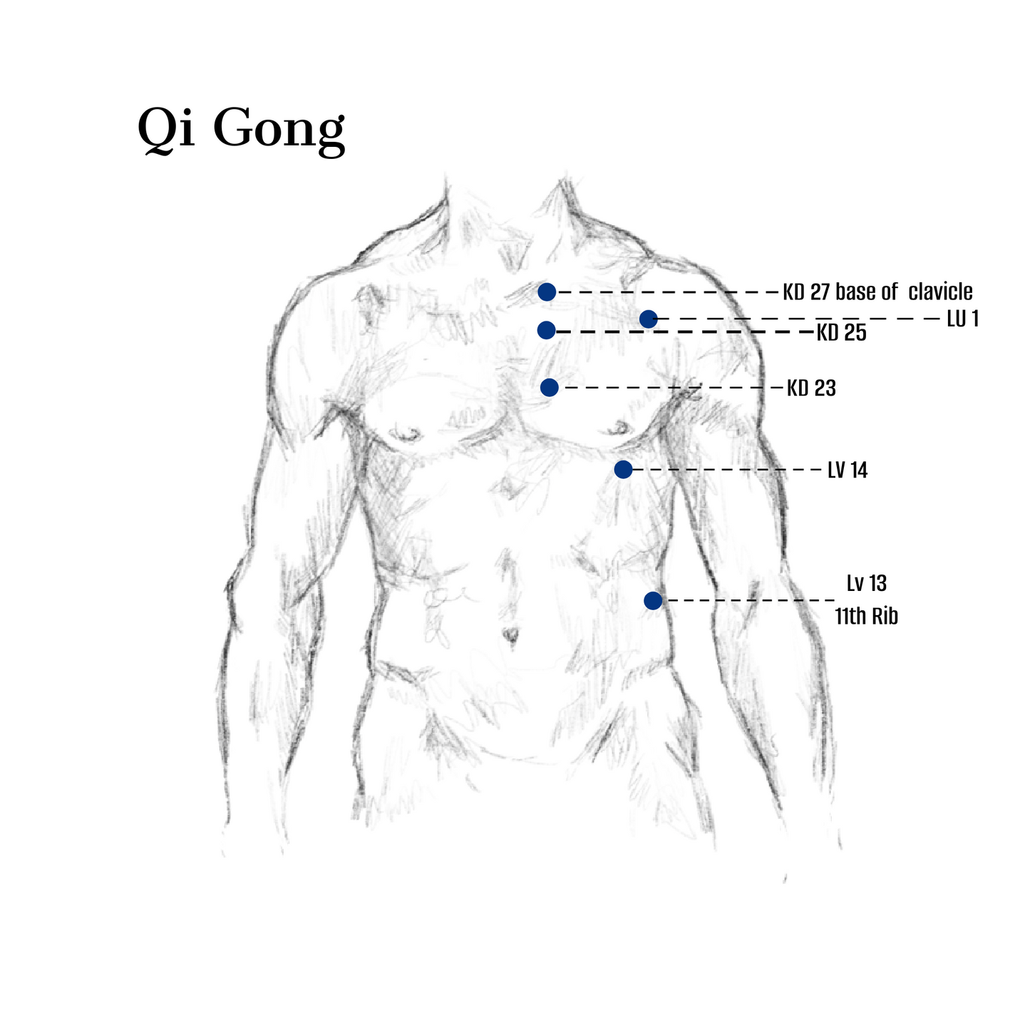 Qi Gong Acupressure Points