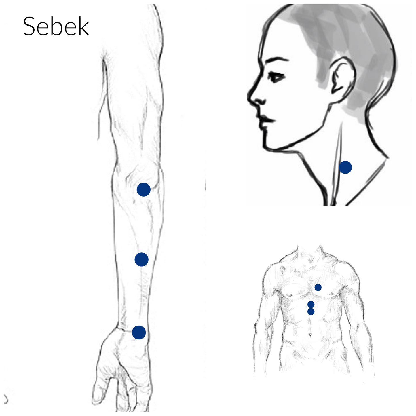 Sebek Acupressure Points